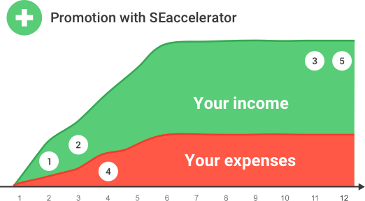 SEaccelerator website promotion